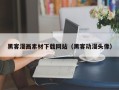 金湖黑客漫画素材下载网站（黑客动漫头像）