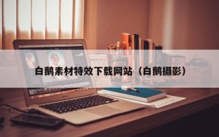 金湖白鹅素材特效下载网站（白鹅摄影）